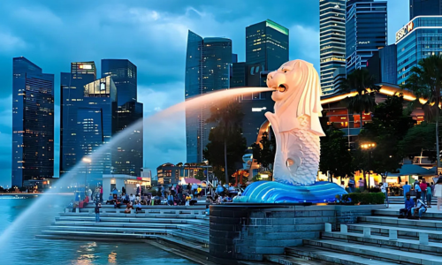 Singapore Affiliated Information Center - Anima Academy