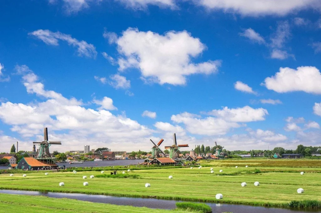 Anima Academy, Netherlands
